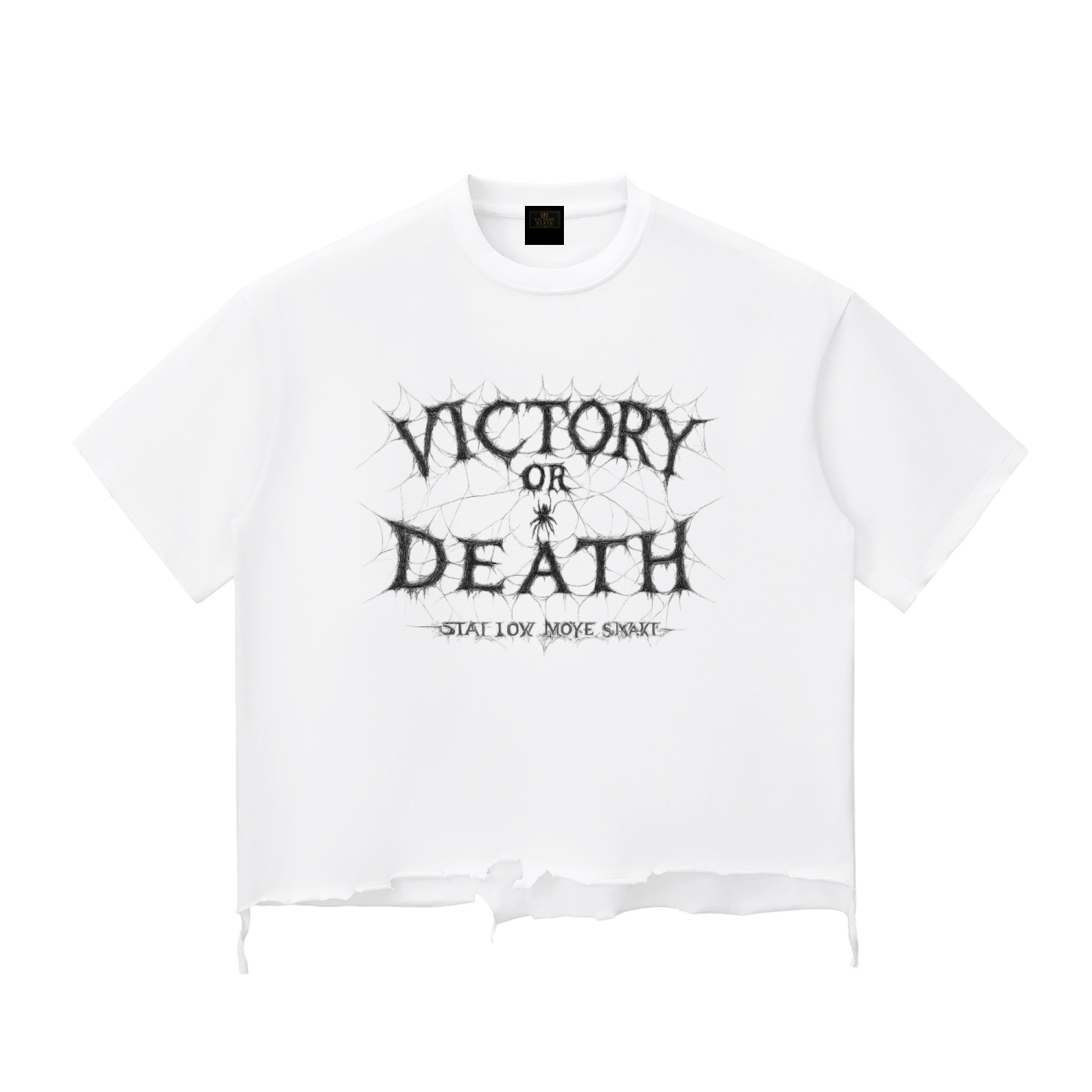 Snow Wash Raw-Hem Boxy T-shirt