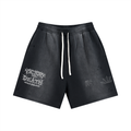 Sun Fade Distressed Shorts
